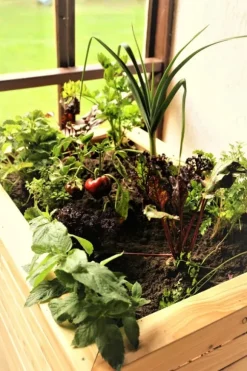 FÄRDIG BIOJORD FÖR GRÖNSAKER OCH TOMATER BIOVITA 20L