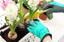 FÄRDIG BIOJORD FÖR GRÖNSAKER OCH TOMATER BIOVITA 20L