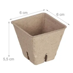 Frökrukeset, 5.5x6x6 cm, Brun