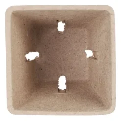 Frökrukeset, 5.5x6x6 cm, Brun