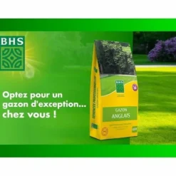 Frön BHS Gazon Anglais 10 kg