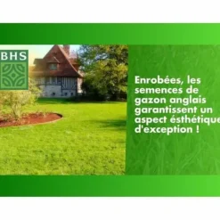 Frön BHS Gazon Anglais 10 kg
