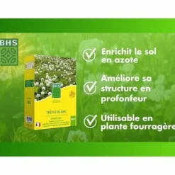 Frön BHS Trèfle Blanc 500 g