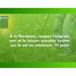 Frön BHS Trèfle Blanc 500 g