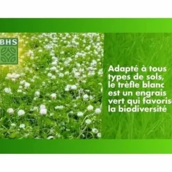 Frön BHS Trèfle Blanc 500 g