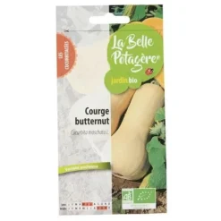 Frön för sådd - Butternut squash - 2,5 g