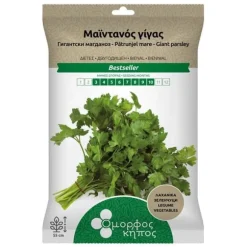 Frön för sådd - Jättepersilja f Grekland 2g