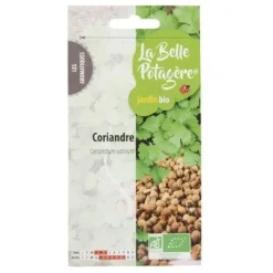 Frön för sådd - Koriander - 1 g