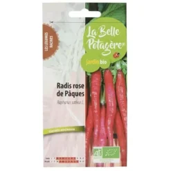Frön för sådd - påskrosa rädisa - 3 g