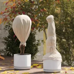 Frostskydd för växtfleece Beige 100 x 1,6 m Syntetiskt tyg