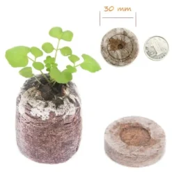 Fröstartare Jordpluggar Växtfiber Plantskola Block Torv Jordpellets