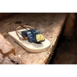 FSC SuperCat x2 trämussmällare - SWISSINNO SOLUTION - Musfälla - Säljs i förpackningar