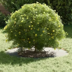 Galvaniserad Metallkruka - Modern Inredning för Växter | Färg: Silver | Storlek: Diameter 70 cm