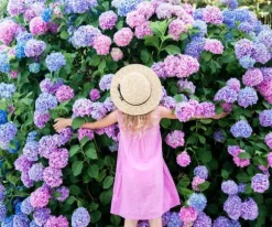 Garden Start Granulerad hortensia gödselmedel 2kg