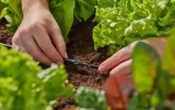 Gardena MDS-kontakt 4,6 mm (3/16