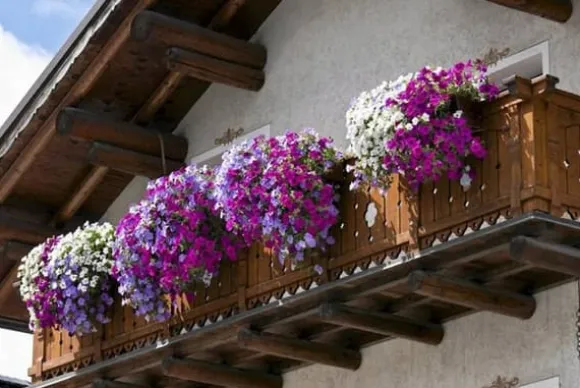 GÖDNINGSMEDEL FÖR BALKONGVÄXTER 0,75L AGRECOL