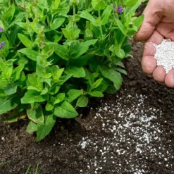 Gödsel för Rhododendron och Azaleor Trädgårdsstart 2kg
