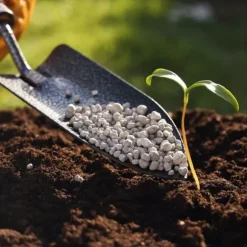 Gödsel för Syraälskande Blåbär Trädgård Start 2kg