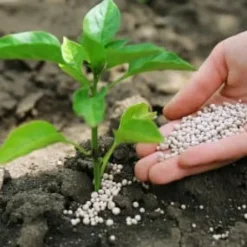Gödsel för Syraälskande Blåbär Trädgård Start 2kg