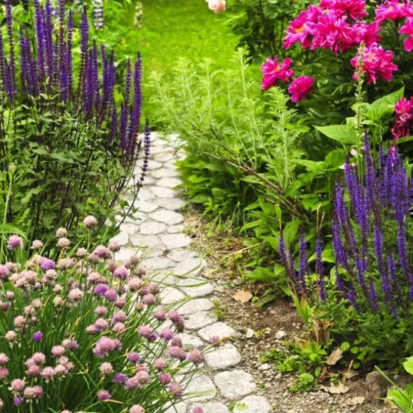 Gödsel för Syraälskande Blåbär Trädgård Start 2kg