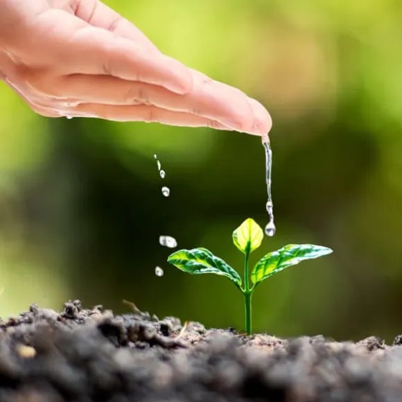 Gödsel för Syraälskande Blåbär Trädgård Start 5kg