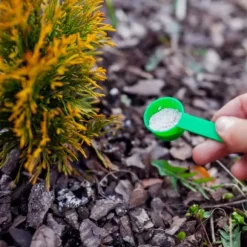 Gödsel för Thujas, Arborvitaes, Barrträd, Garden Start 2kg
