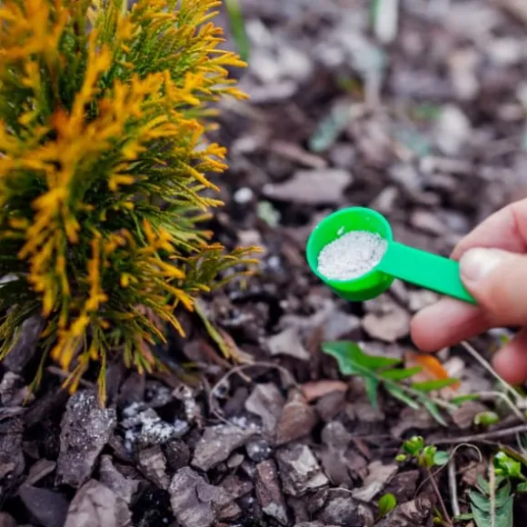 Gödselmedel för Thujas, Arborvitaes, Barrträd, Garden Start 10kg