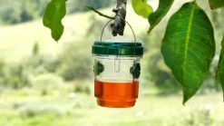 Genius Ideas Solcellsdriven insektsfälla