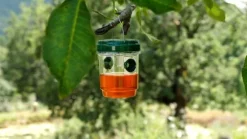 Genius Ideas Solcellsdriven insektsfälla