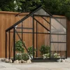 Glasväxthus i antracit med aluminiumkonstruktion | Storlek: 155x103x191 cm