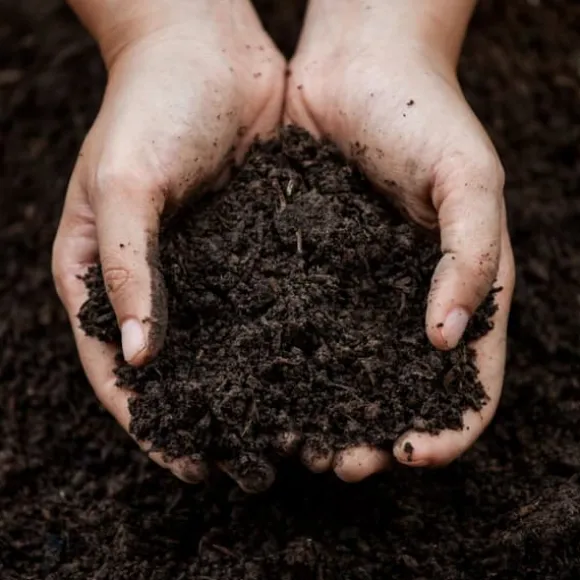 Granulerat svavel 1 kg AMPOL