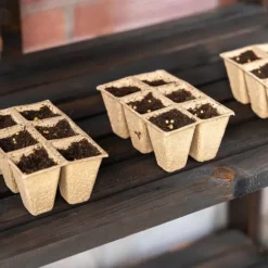 Greenspot Miniväxthus för balkong och terrass 80 x 42 x 120 cm - Balkongväxthus för övervintring av örter, blommor, plantor - Ursprungsfärg Mörk rosen | CDON