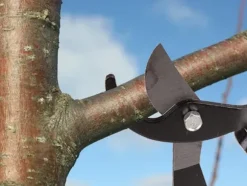 Grensax / Trädgårdssax - Trädgårdsverktyg - 70 cm