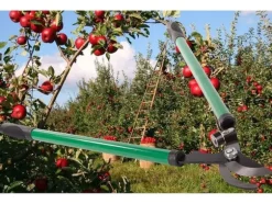 Grensax / Trädgårdssax - Trädgårdsverktyg - 70 cm