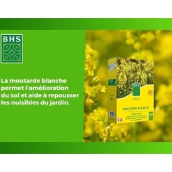Gröna gödningsmedel - BHS - Vit senap 500 g | 100 m² | Förbättrar och desinficerar jorden för bättre bördighet.