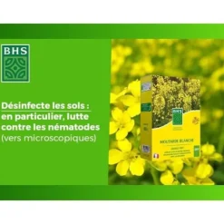 Gröna gödningsmedel - BHS - Vit senap 500 g | 100 m² | Förbättrar och desinficerar jorden för bättre bördighet.