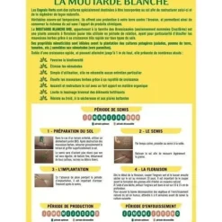 Gröna gödselmedel - BHS - Vit senap 500g | 100 m² | Förbättrar och desinficerar jordar för bättre fertilitet.