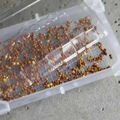 Gröna groddar med Rädisafrön