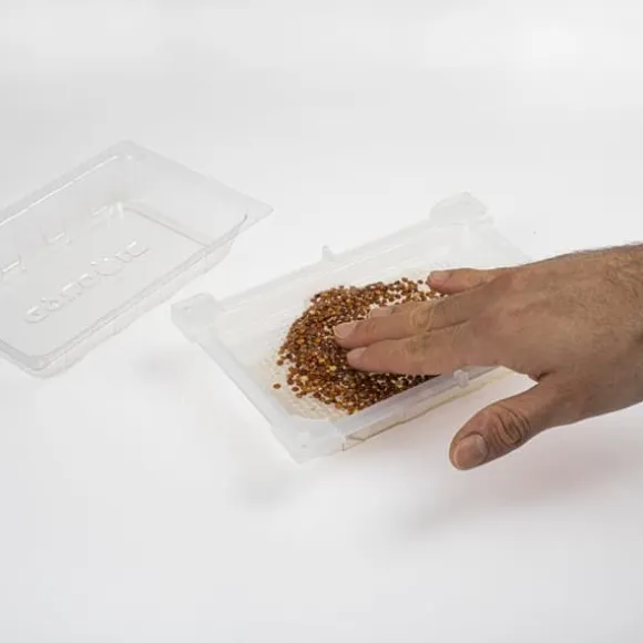 Gröna groddar med Rädisafrön