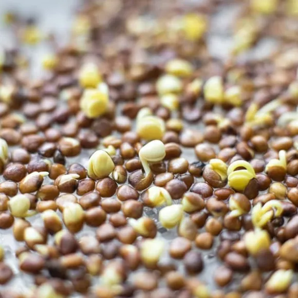 Gröna groddar med Rädisafrön