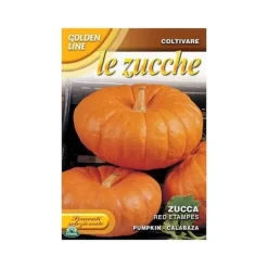 Gröna pumpafrön - INGEN NAMN - Röd Etampes - Orange - 17,5x11,5 cm - Sådd från mars till juni