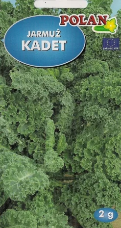 Grönkål KADET 2g. Polska frön