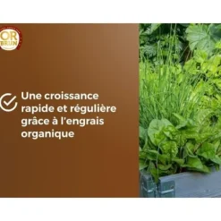 Grönsaksjord & aromatiska växter - ELLER BRUN - OBRTARO6U - 6L - Snabb tillväxt