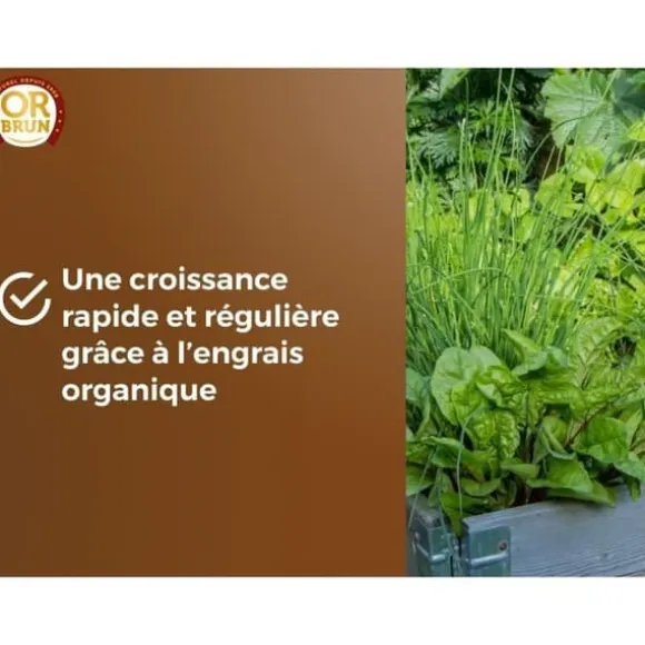 Grönsaksjord & Aromatiska växter - OR BRUN - OBRTARO6U - 6L - Snabb tillväxt
