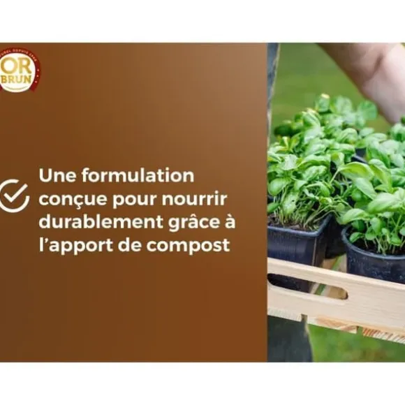 Grönsaksjord & Aromatiska växter - OR BRUN - OBRTARO6U - 6L - Snabb tillväxt