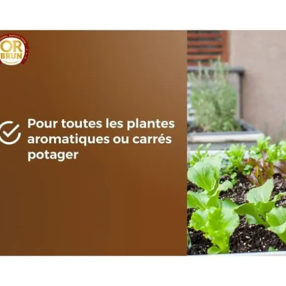 Grönsaksjord & Aromatiska växter - OR BRUN - OBRTARO6U - 6L - Snabb tillväxt