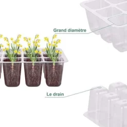 Groddbricka, uppsättning med 12 groddbrickor med 12 odlingsbrickor för inomhusväxthus, propagateulåda för plantskolor inomhus