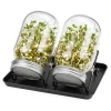Groddningsburkar Set, 16,5x10 cm, Glas