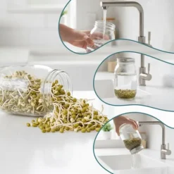 Groddningsburkar Set, 16,5x10 cm, Glas