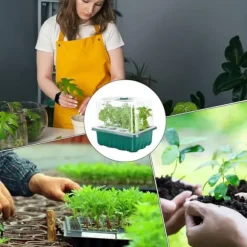 Groning sbrickor för plantor - Plantbrickor för plantor med fuktkupol